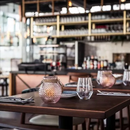 酒店 科隆凯悦酒店 5*