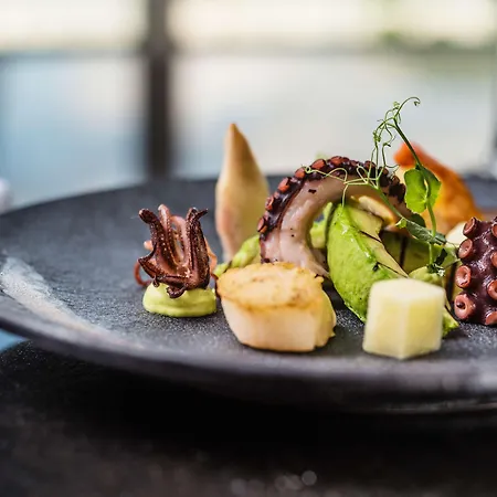 酒店 科隆凯悦酒店 5*